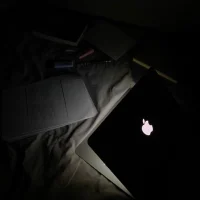 sidharth-freelance-digital-marketing-expert-in-kasaragod-3